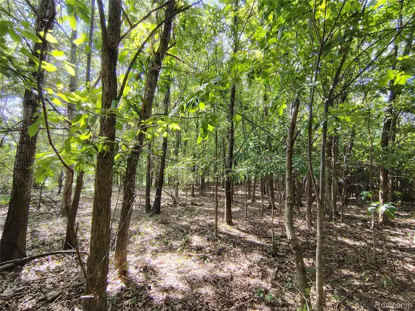 Parcel D Brigham Road, Goodrich, MI 48438