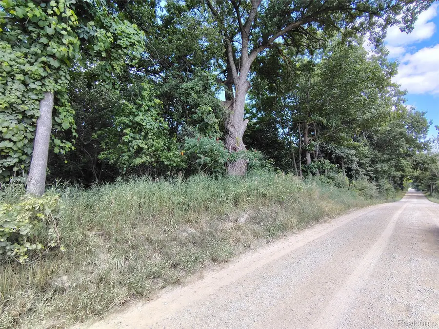 Parcel D Brigham Road, Goodrich, MI 48438 - #2