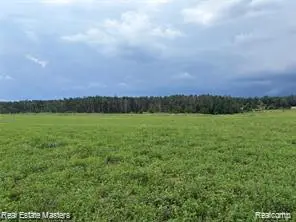300 E Hubert Road, Spruce, MI 48762 - #3