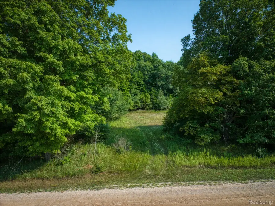 00 Pierce Road, Stanwood, MI 49346 - #3