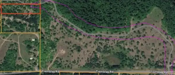 V/L Tremblay Road, Mancelona, MI 49659