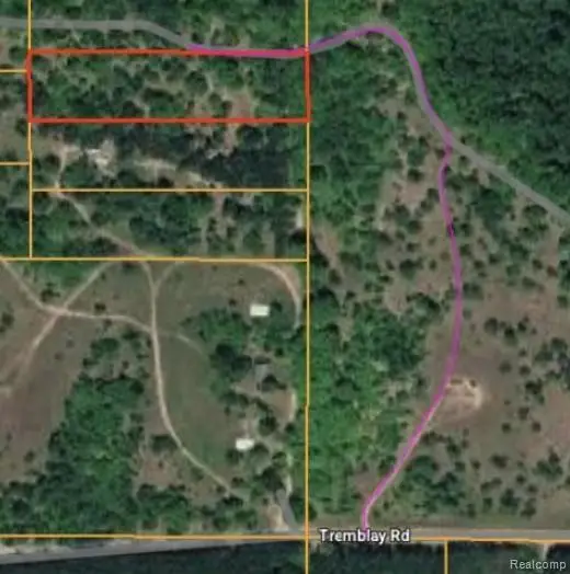 V/L Tremblay Road, Mancelona, MI 49659 - #2