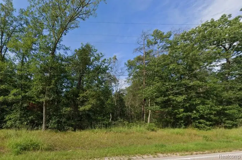 V/L 32nd St, Pleasant Plains, MI 49304 - #2