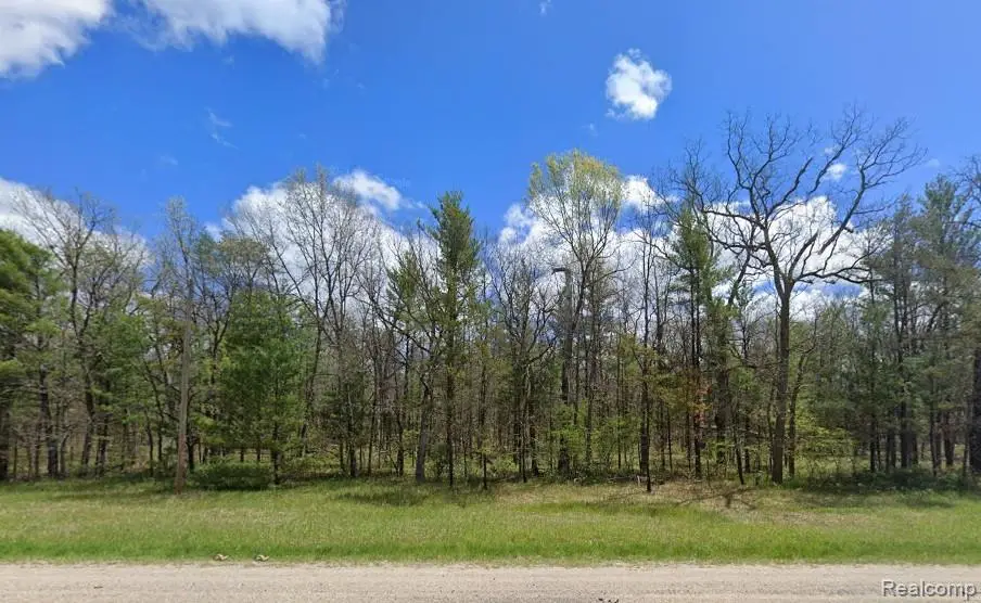 V/L Parcel A Hwy 10 Nw, Pleasant Plains, MI 49304 - #1
