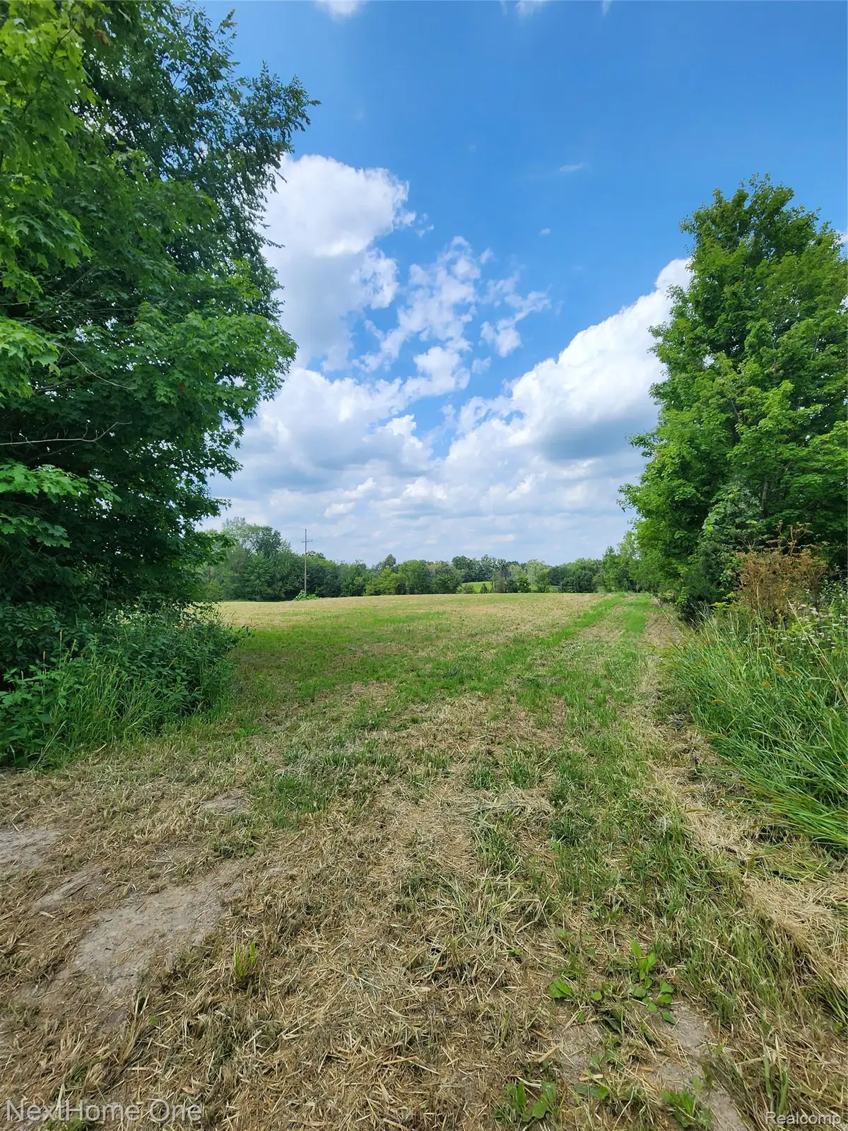 00 Musson Road, Howell, MI 48855 - #1