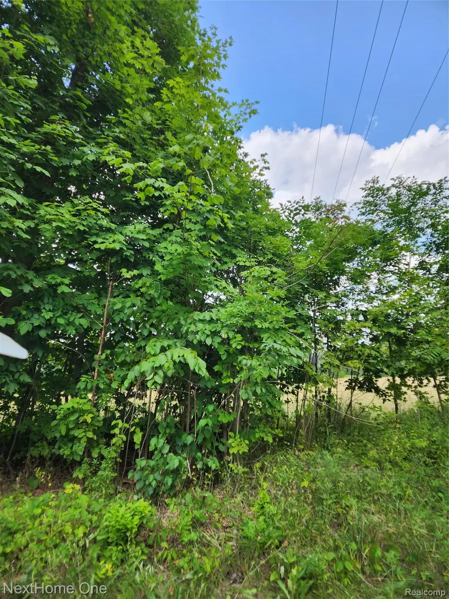 00 Musson Road, Howell, MI 48855 - #3