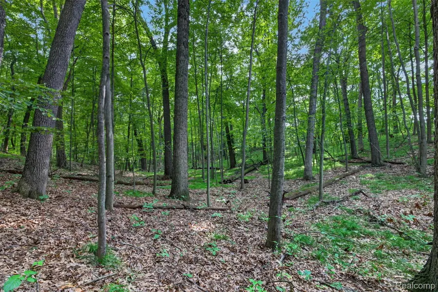 Vacant Faust Dr, Ortonville, MI 48462 - #2