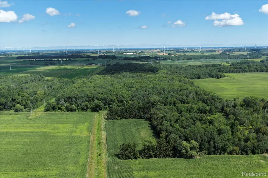 000 Parisville Road, Minden, MI 48456 - #3