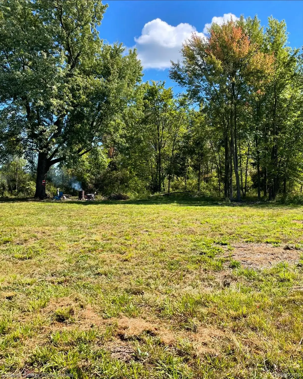 126 Homestead Lane, Imlay, MI 48444 - #1
