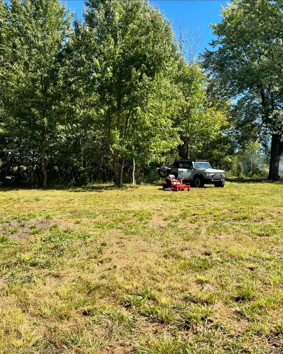 126 Homestead Lane, Imlay, MI 48444 - #3