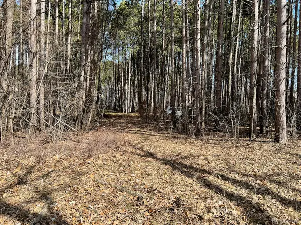 9047 Pineview River Drive, Linden, MI 48451