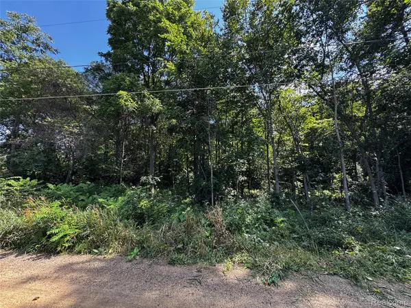 12195 Softwater Lake Dr, Linden, MI 48451