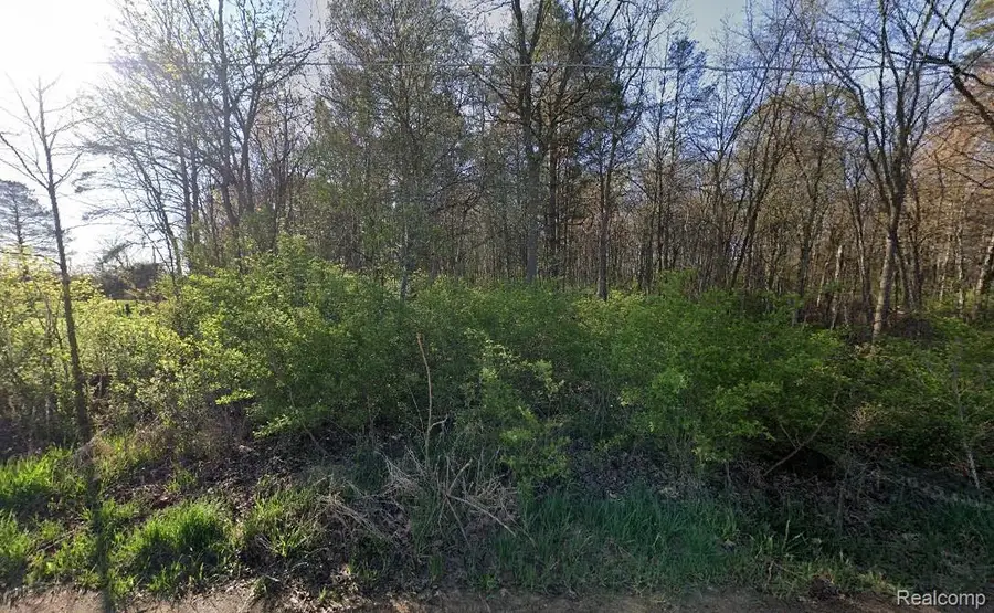 12195 Softwater Lake Dr, Linden, MI 48451 - #3