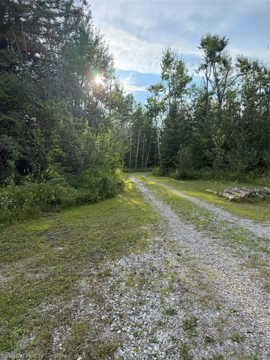 8018 Mielke Road, Hawks, MI 49743 - #3