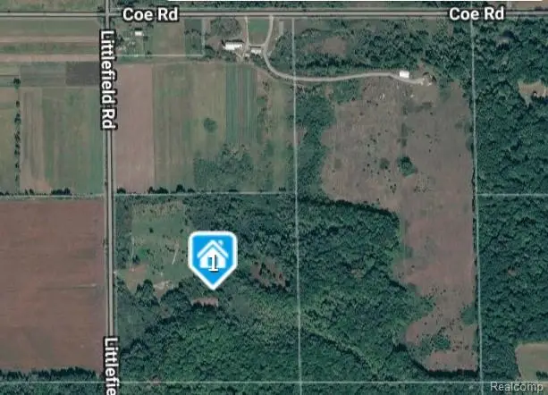 11365 Littlefield Road, Blanchard, MI 49310 - #2