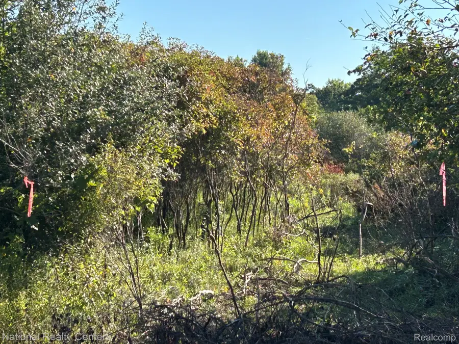 0000 Austin Farms Parcel D, Ortonville, MI 48462 - #2