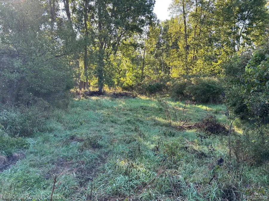 0000 Austin Farms Parcel C, Ortonville, MI 48462 - #2