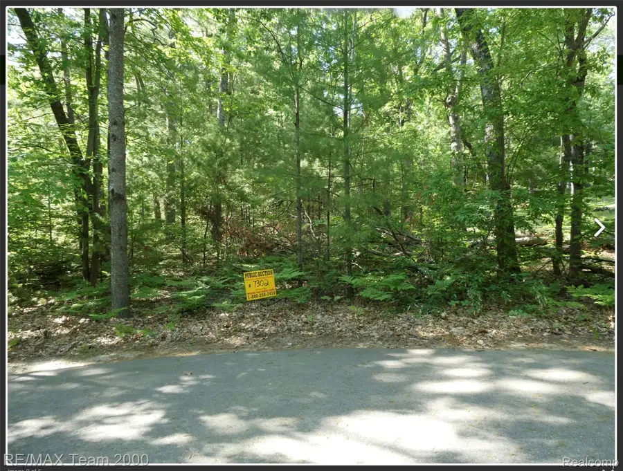 BUNNY RUN VACANT HOUGHTON Bunny Run, Denton, MI 48629 - #2