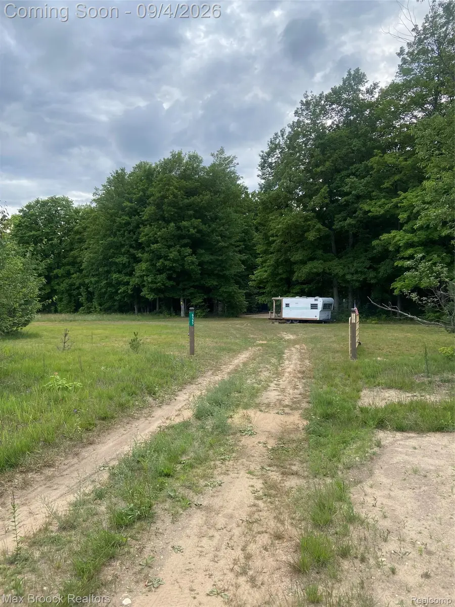 6545 Garden Lane Ne, Kalkaska, MI 49646 - #3
