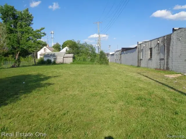 11624 Dwyer Street, Hamtramck, MI 48212 - #2