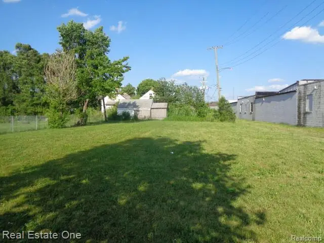 11624 Dwyer Street, Hamtramck, MI 48212 - #3
