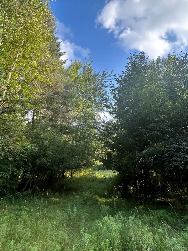 V/L Frankford Road, Caro, MI 48723