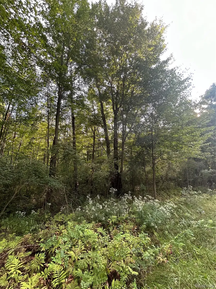 V/L Frankford Road, Caro, MI 48723 - #2