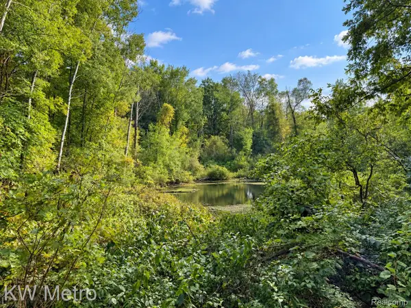 VL Sister Lake Road, OtterLake, MI 48464