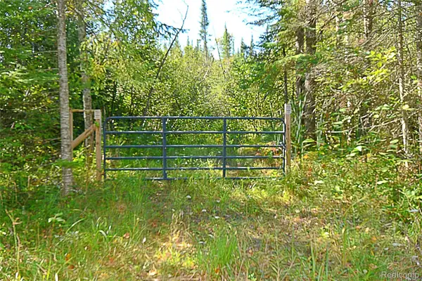 V/L Sullivan Dr, StHelen, MI 48656