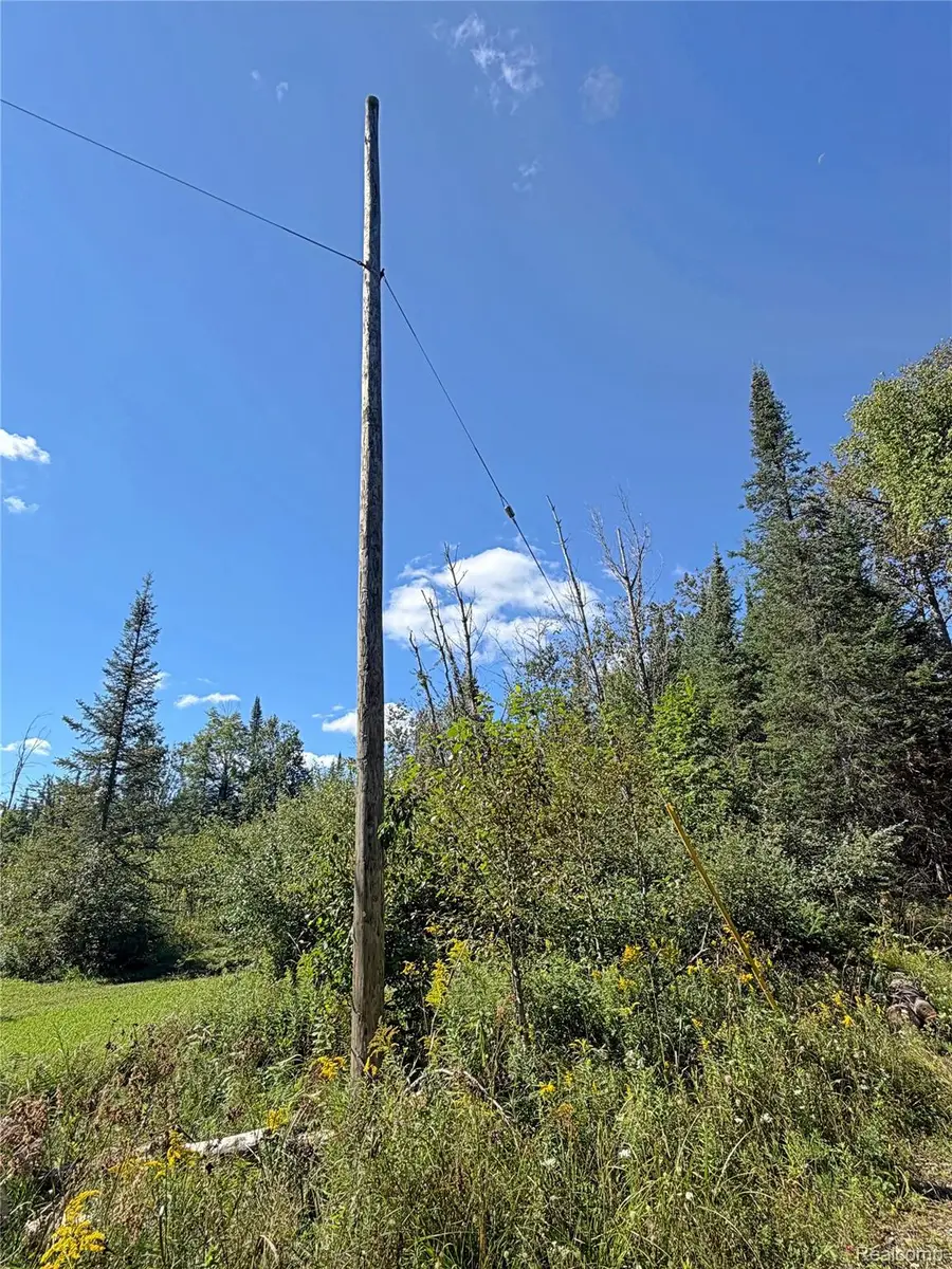V/L Sullivan Dr, Saint Helen, MI 48656 - #3