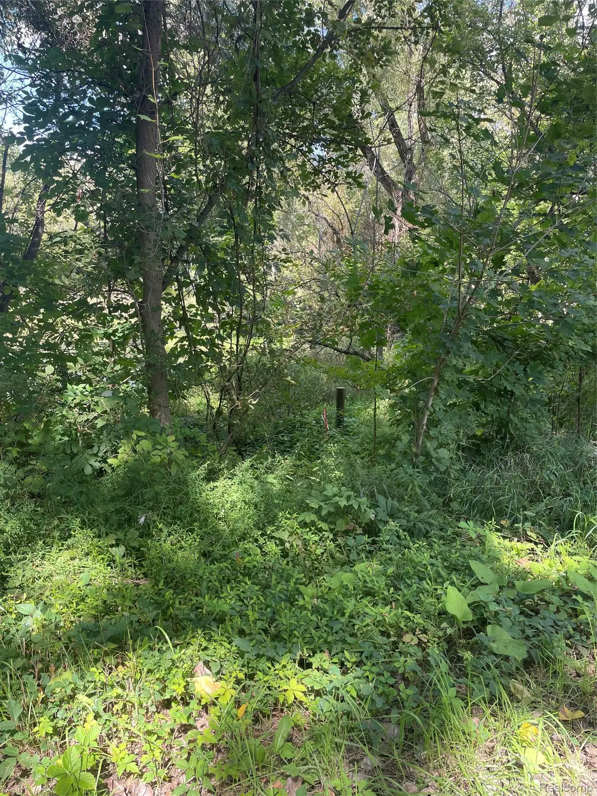0000 Thom Road, Columbiaville, MI 48421 - #1