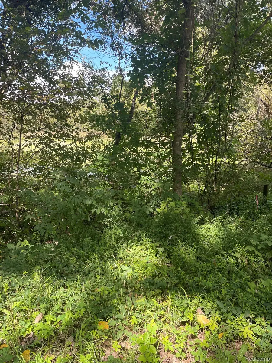 0000 Thom Road, Columbiaville, MI 48421 - #3