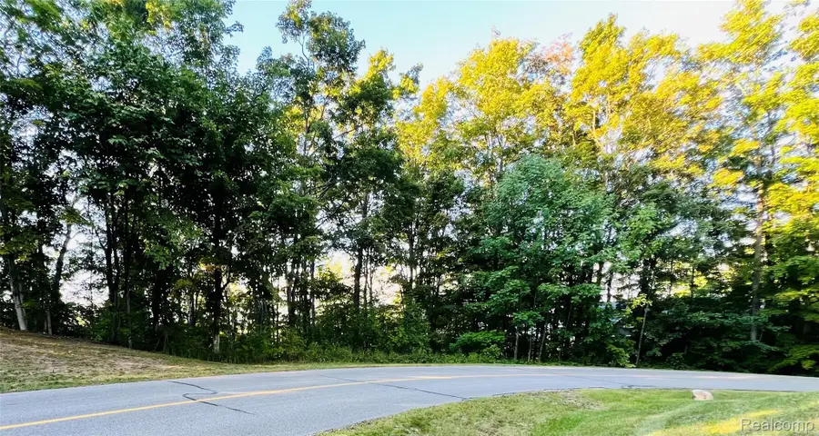 7554 Preserve Drive N, Petoskey, MI 49770 - #3