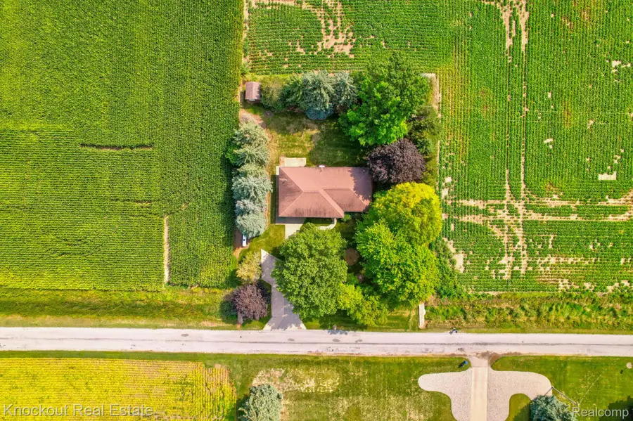 4953 S Reese Road, Frankenmuth, MI 48734 - #3