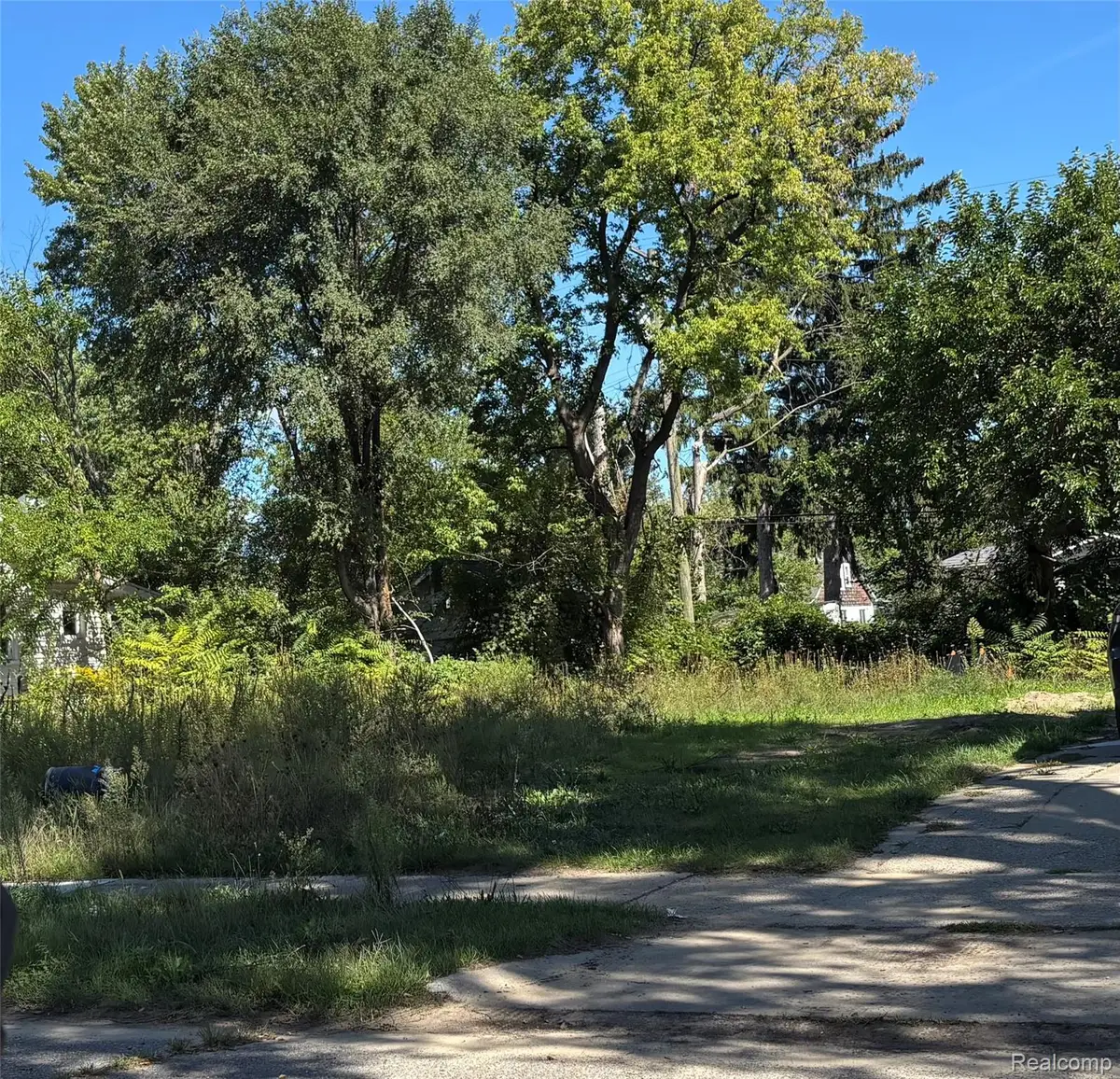 5020 Anatole Street, Detroit, MI 48236 - #1