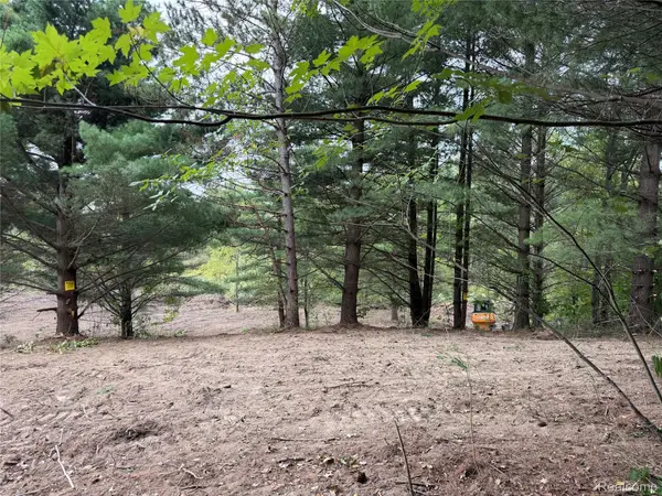 Denhoff and Cemetery Rd E Denhoff Road S, Kingston, MI 48741