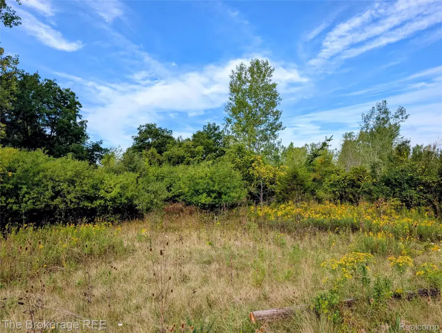 8064 Fenton Road, Mundy, MI 48439 - #2