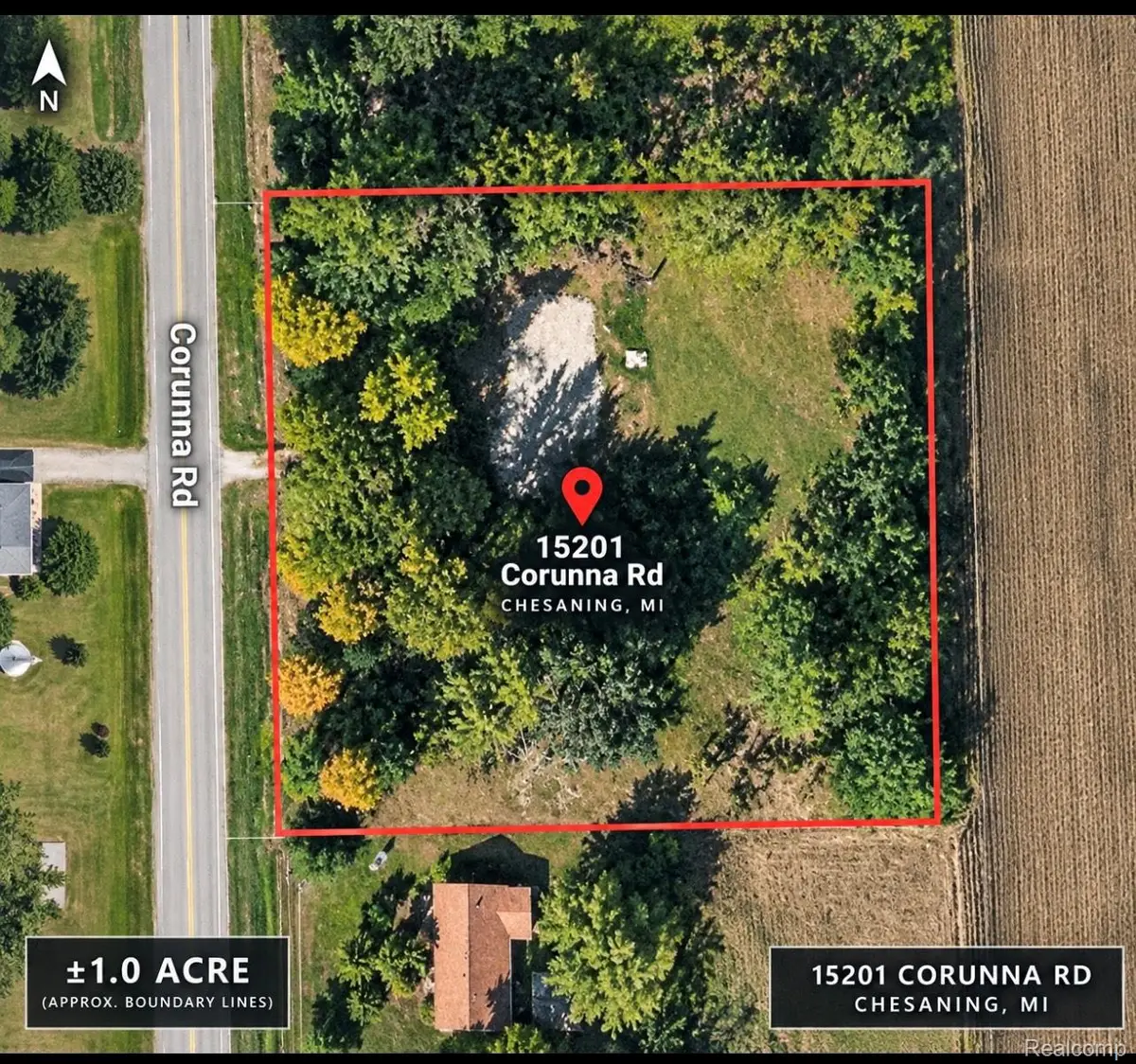15201 Corunna Road, Chesaning, MI 48616 - #1