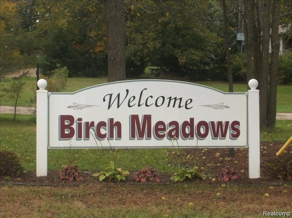 0000 Birch Meadows Lane, Fowlerville, MI 48836 - #1