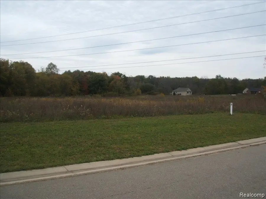 0000 Birch Meadows Lane, Fowlerville, MI 48836 - #2