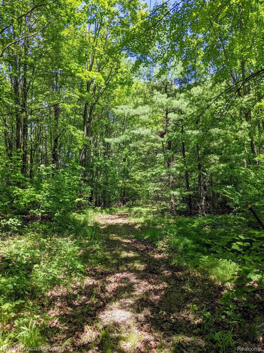 3595 E Stockwell Road, Harrison, MI 48625 - #3