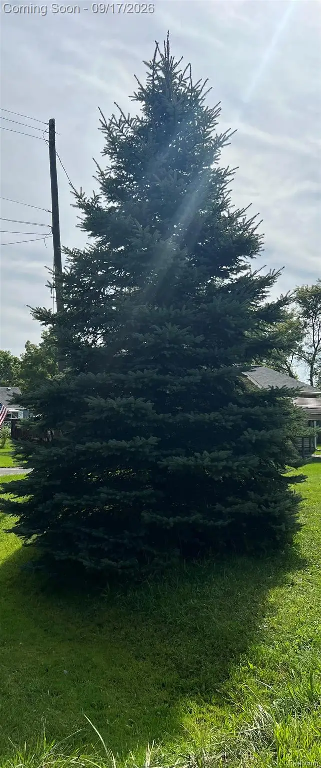 3342 Leta Avenue, Burton, MI 48529 - #2