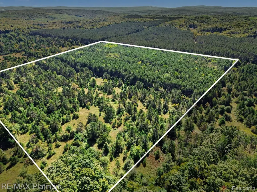 V/L Black Berry Trail, Pellston, MI 49769 - #2