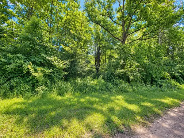 00000 Sherwood Road, Belleville, MI 48111