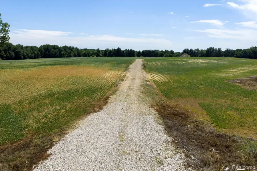 VL Applegate Road, Applegate, MI 48401 - #2