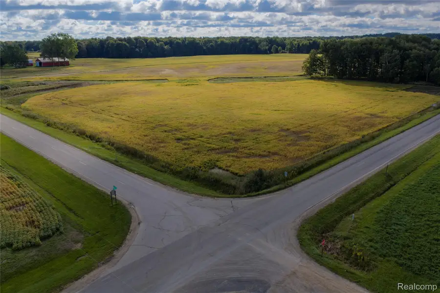 VL Applegate Road, Applegate, MI 48401 - #3