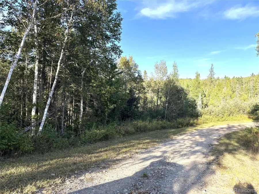 VL 79 Acres Premo Dam Road, Amasa, MI 49903 - #3