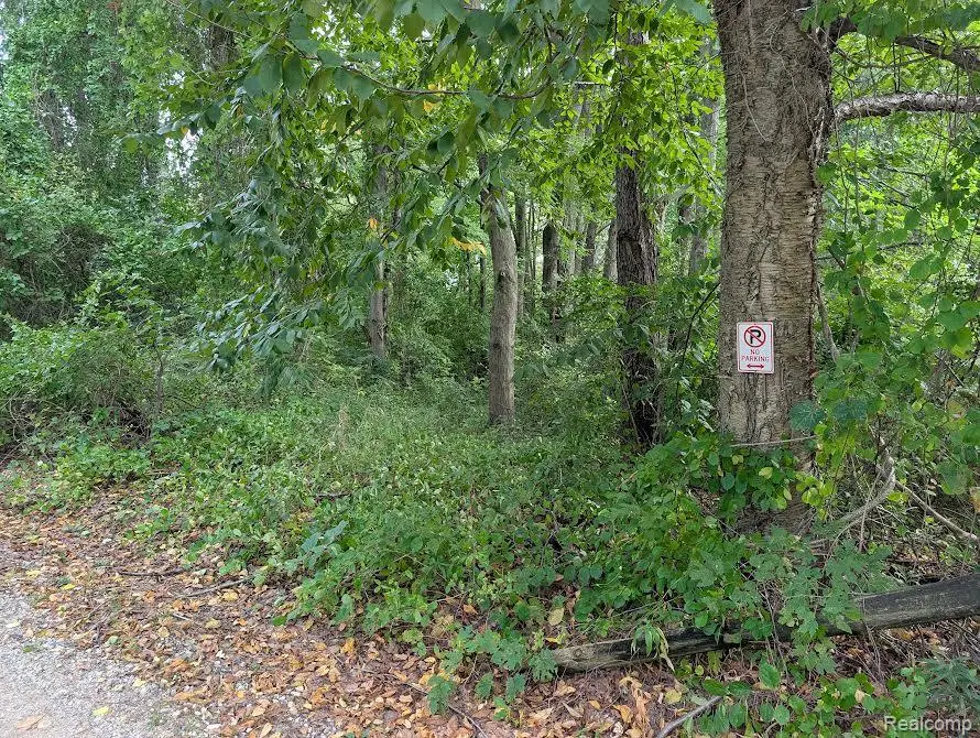VL Clarkway Road, Jackson, MI 49203 - #2
