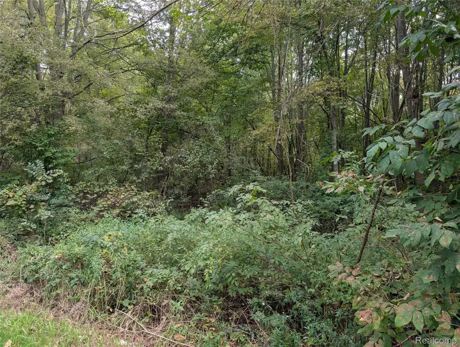 VL Clarkway Road, Jackson, MI 49203 - #3