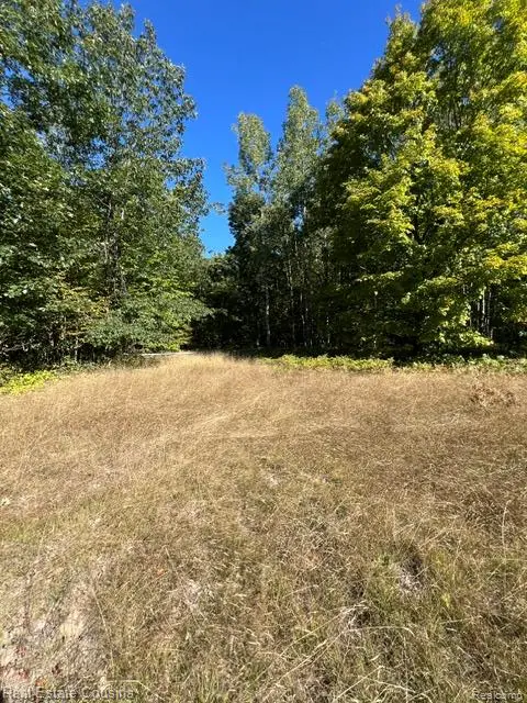 718 Worsh Rd, Mullett, MI 49749 - #1